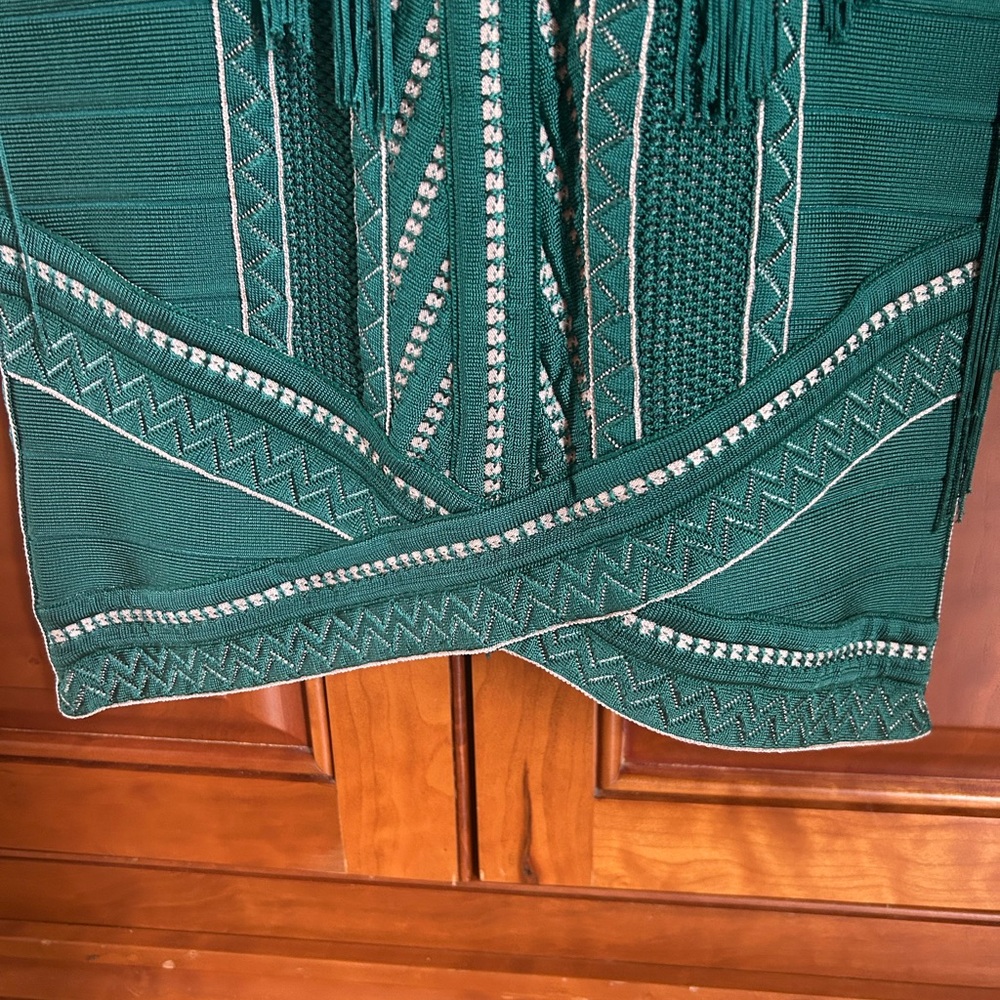 Herve Leger Chic Green Fringe Dress - Picture 6 of 6